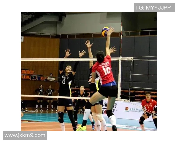 北京排球队在精英赛中的团队协作表现分析与点评