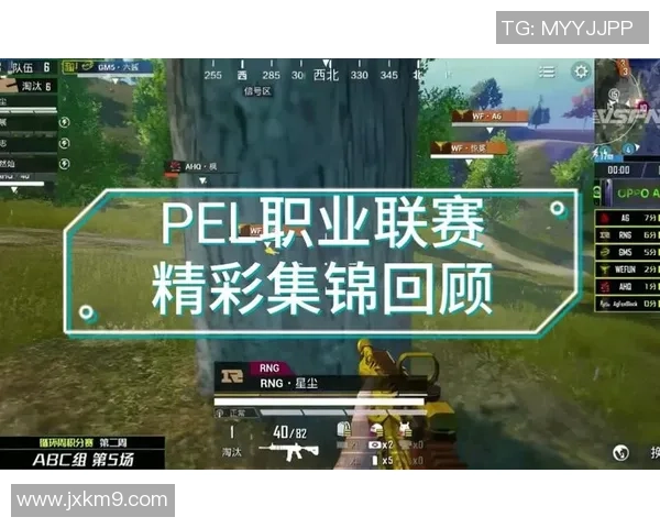 和平精英纪实：见证RNG战队从崛起到巅峰的奋斗历程与荣耀时刻