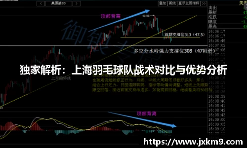 独家解析：上海羽毛球队战术对比与优势分析
